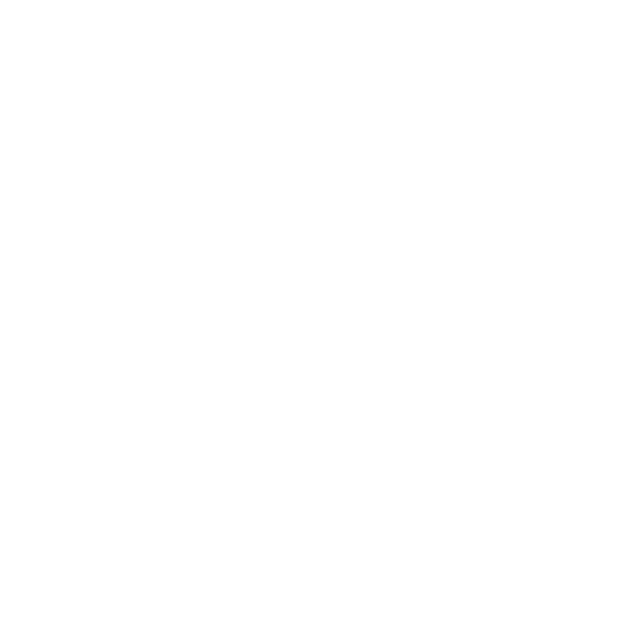 CAPACITY ASSESSMENT